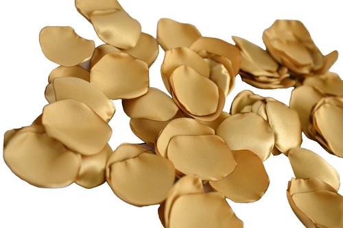 Rosa in Rosso Oro 24 Carati, Placcato con Supporto Trasparente e