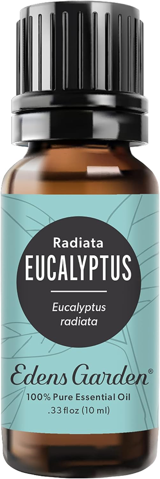 100% Pure Eucalyptus Radiata Essential Oil - Undiluted Premium Grade