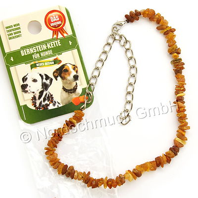 Bernsteinkette Hund Katze Bernstein roh Hundekette Halsband raw amber 22 - 68 cm