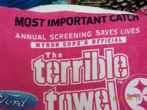 Pink Ribbon Pittsburgh Steelers "Most important catch" the Terrible Towel #2 - Picture 2 of 4