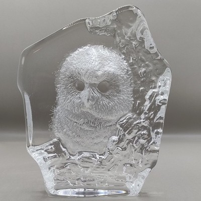 Eule Eule Bleikristall Glas Ornament Matten Jonasson Signature Edition Schweden