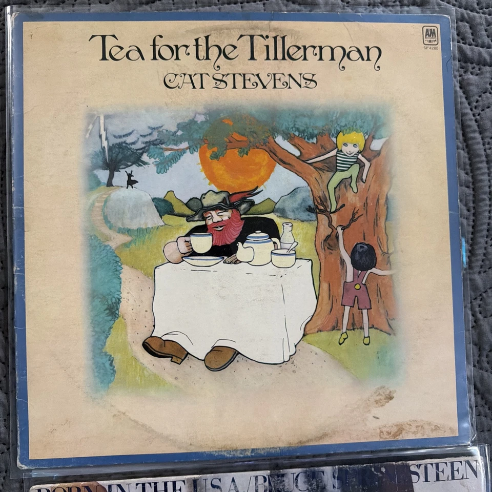 Nine Rock / Pop albums - 50's60's, 70's, 80's Used - Bruce, Donovan, Cat Stevens - Image 4 of 4