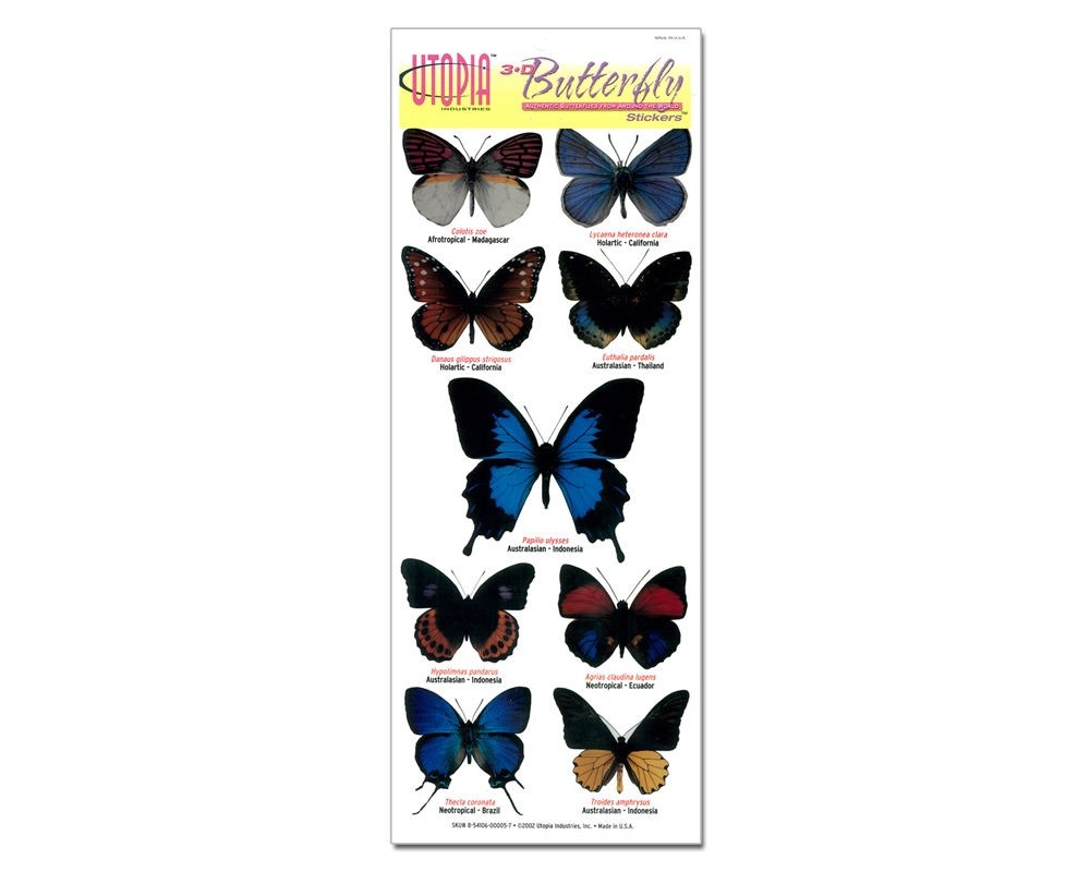3D Butterfly Stickers Crafts Decorations Wedding Party Stationary