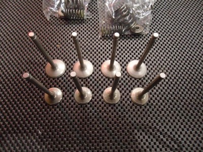 Yamaha XJ900S Engine Valves XJ900 Diversion Inlet & Exhaust Valve Set XJ 900