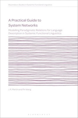 Practical Guide to System Networks : Modelling Paradigm - Trade Paperback NEW Pi