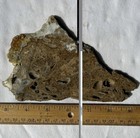 WYOMING BLIZZARD STONE SLAB ~ 195 grams / rough agate jasper druzy rock cab — photo 8