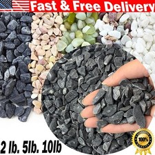 10Lb Natural Pea Gravel Pebble 3/8in D cor Rocks Plants Vases, Aquarium Dressing