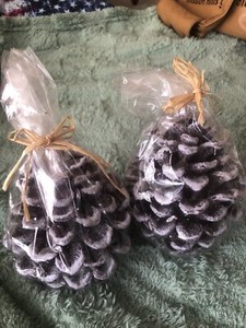 1999 Vintage Pine Cone Candles