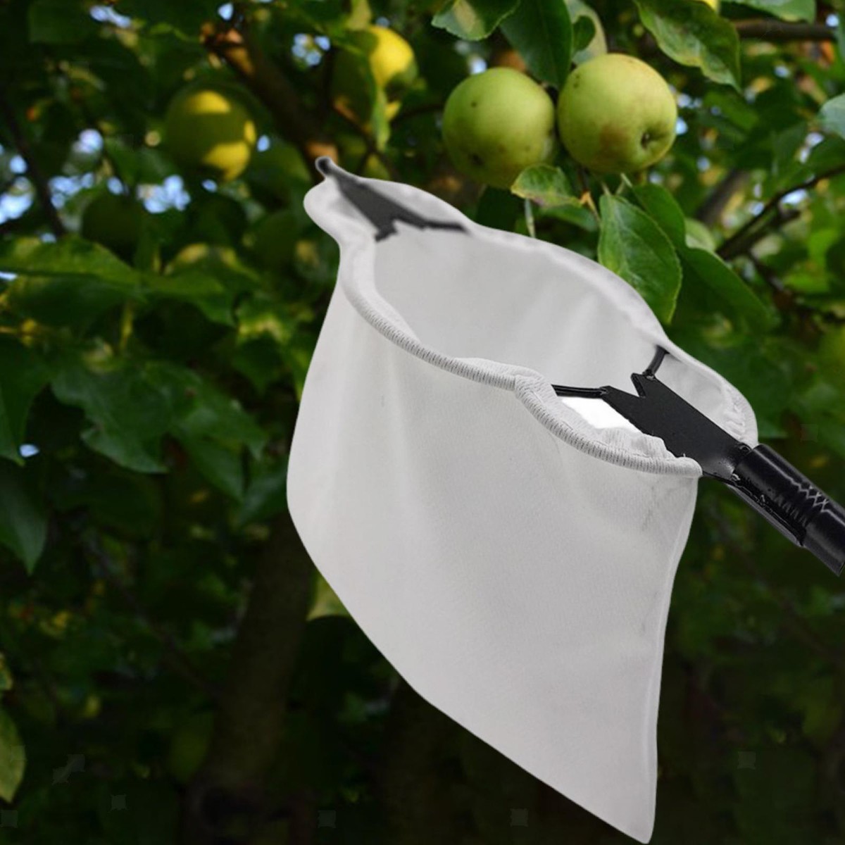 Obstpflücker Mit Stoffbeutel - Einfach Früchte Ernten Ohne Leiter