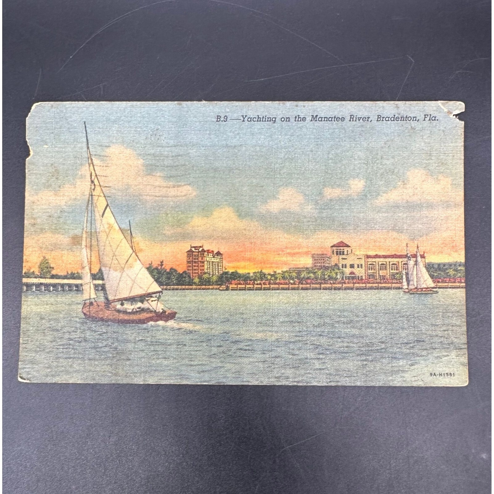 Picture 5 of 10