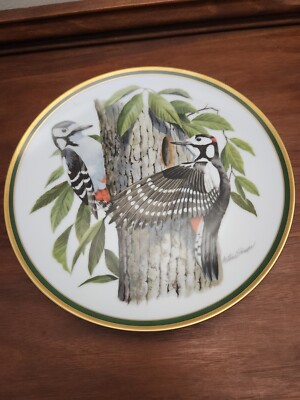 食器 Woodland Birds of the World Plate National Audubon Society Woodland Birds of the World Spotted