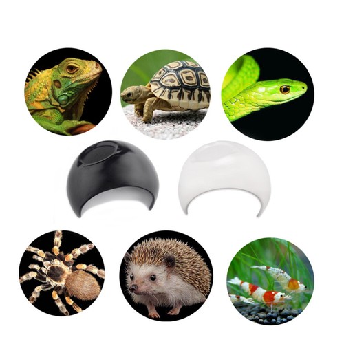 Leopard Gecko Hides and Moist Spider Habitat Bearded Dragon Crawl eBay