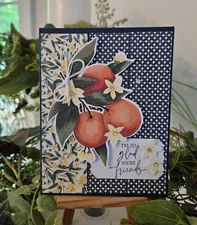 STAMPIN UP CARD KIT- PEACHES I'M SO GLAD WE'RE FRIENDS  Makes 4-Set #25.438