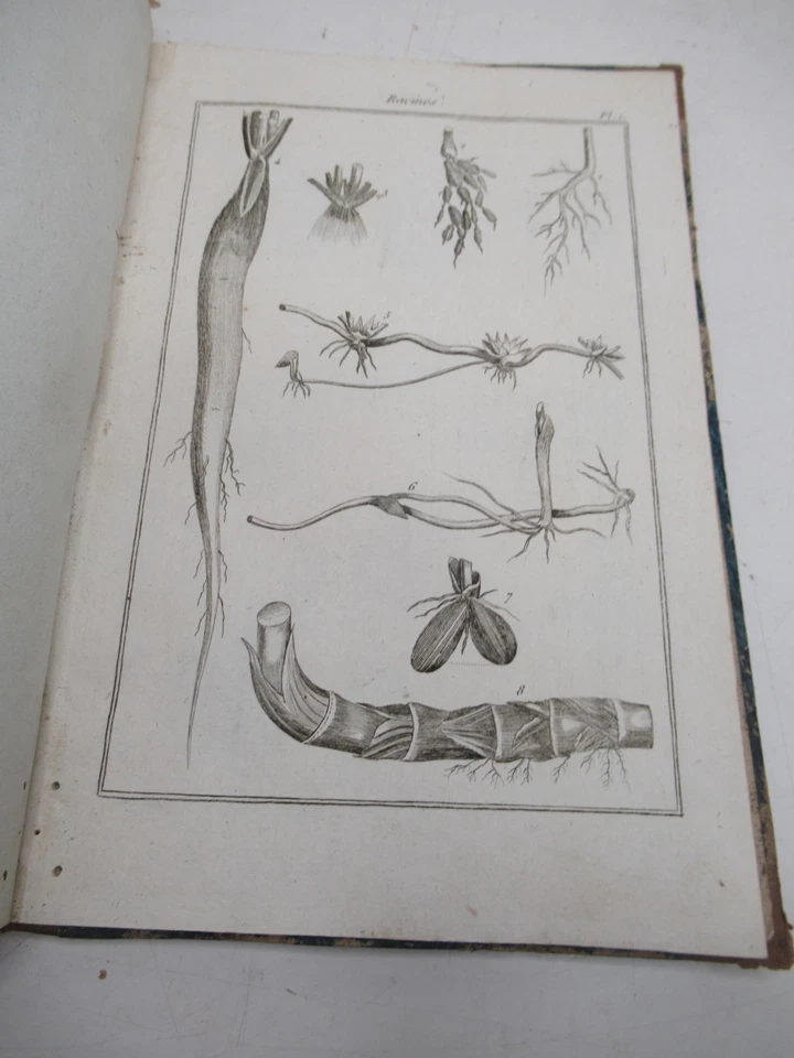PUJOULX LA BOTANIQUE DES JEUNES GENS ATLAS 1810 EO Planches VEGETAUX FLEURS - Photo 4/4