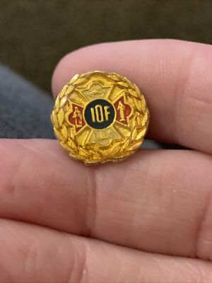 Vintage IOF Foresters Gold Tone Enamel Lapel Pin (GW11)