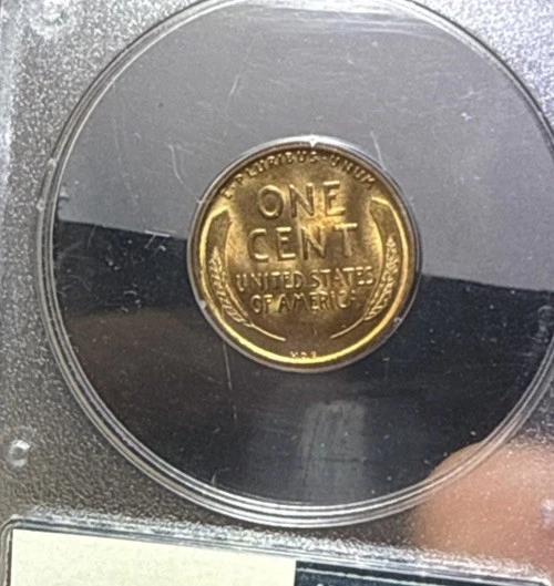 1909-P VDB Lincoln Cent PCGS MS65 RD Rattler Blazing Full Red - Image 3 of 3