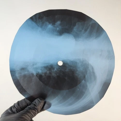 LED ZEPPELIN YOU SHOOK ME X-Ray USSR Record Roentgen Bone Ribs Music Vinyl