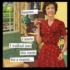 Hmmm I Know I Walked In This Room For A Reason..-MAGNET