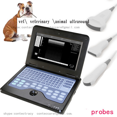 Cat Scan Notebook