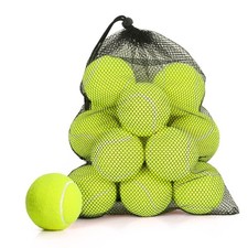 24 Pack Tennis Balls, Pet Dog Playing Balls, Practice Tennis Balls with Mesh ...