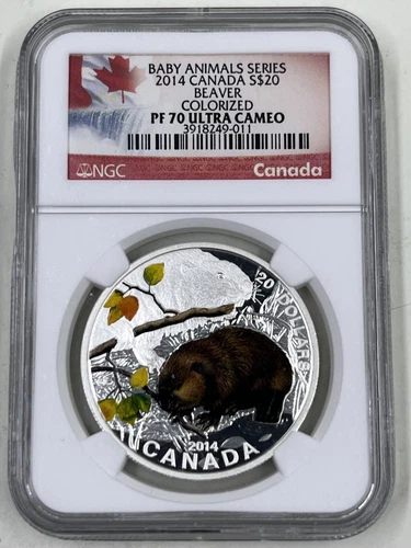 2014 Canada S$20 NGC PF70 Ultra Cameo Beaver Colorized Baby Animals Collection