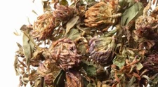 NY Herb Shop Red Clover Tops Whole | Bulk Wholesale Herbal Tea Flowers