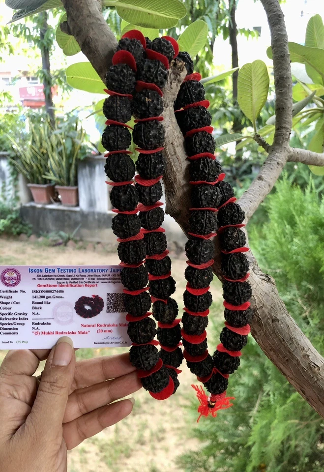 LAB CERTIFIED 5 Mukhi RUDRAKSHA Rudraksh Mala ROSARY 54+1 Big Beads BLACK DYED - Image 3 of 4