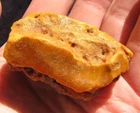 Real Baltic amber 31 g yellow gems 琥珀 large big stone f decor design collectible