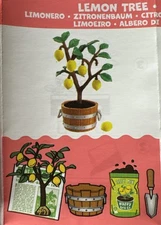 🍋🍋 New Release! Miniverse Nature Series 3 Opened/Unmade ~ LEMON TREE 