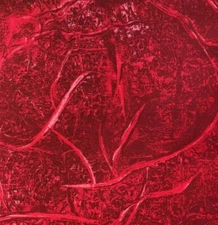 Deep Forest Vines Quilt Fabric - Red - Yard