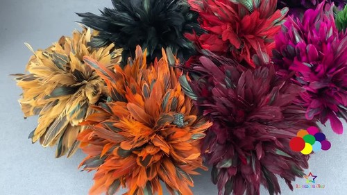 900Pcs/ Rooster Feathers Fly Tying 5-6 INCH Dyed Pheasant Saddle Plumes DIY - Video 1 of 1