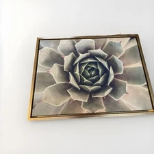 Kate and Laurel Sylvie Succulent Plant Framed Canvas Wall Art, Botanical