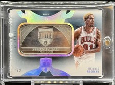 2024-25 Panini Eminence Dennis Rodman Silver Bar FOTL /3 Bulls