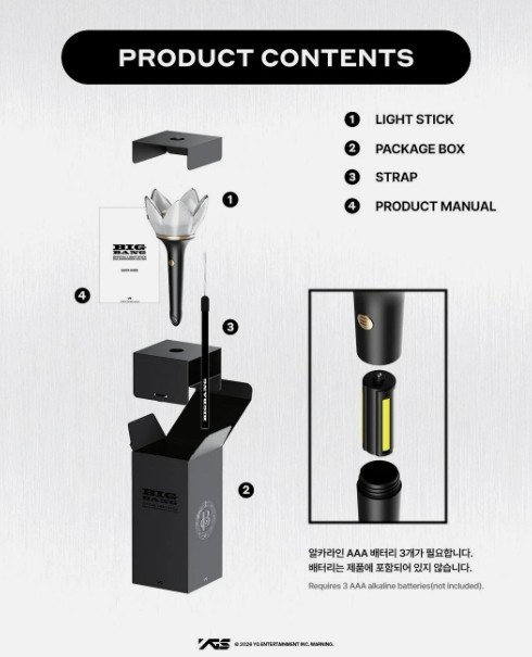 [ON HAND] BIGBANG 20th Anniversary Official Light Stick XX COSMOS FedEx ...