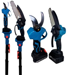 Kit 1 Batteria 48V Caricabatterie Per Forbice Cesoia Da Potare Potatura Brico