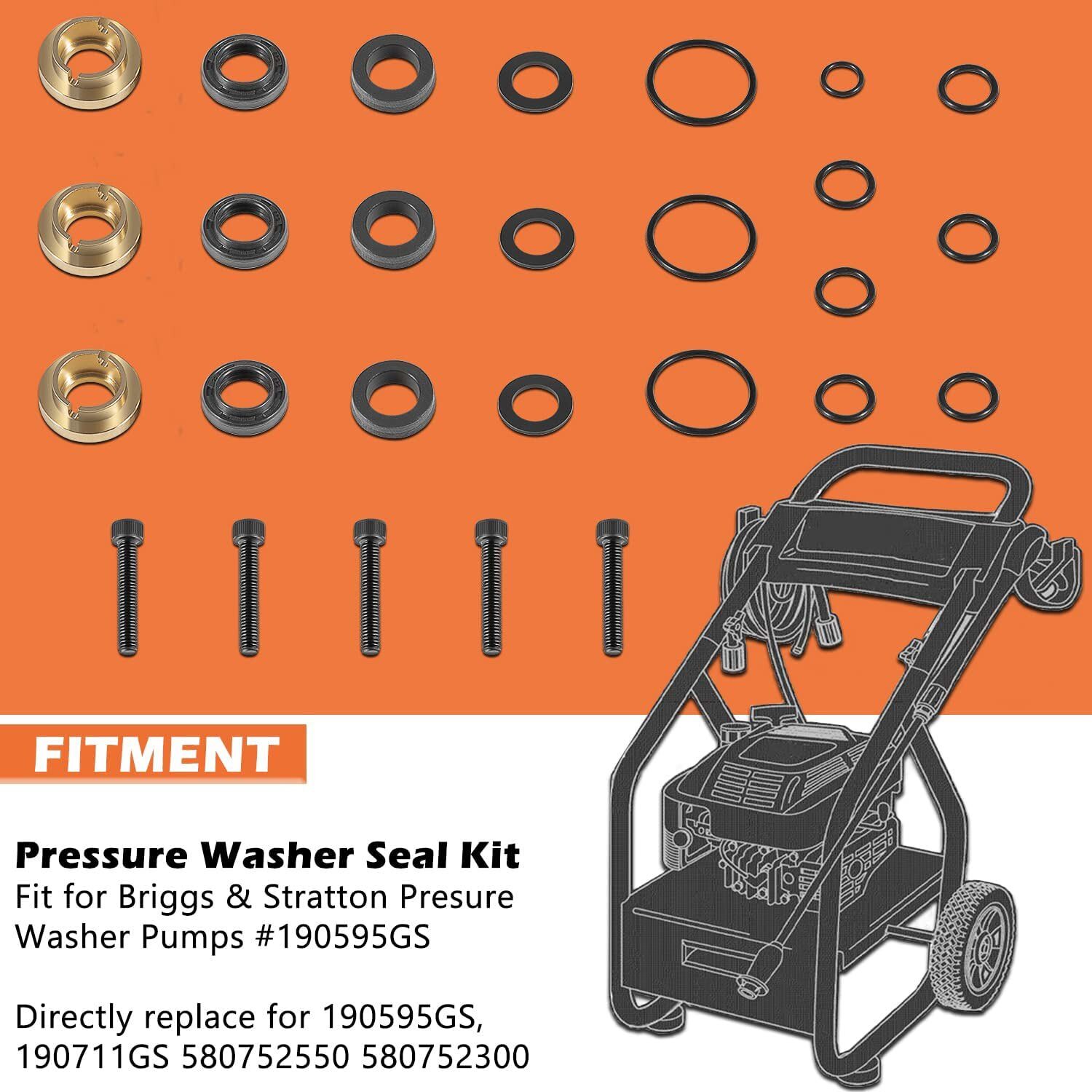 190595GS Pressure Washer Seal Kit For Briggs & Stratton Pumps 580752550
