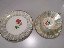 Winterling Röslau Bavaria Germany Plate Cup Saucer Gold Red Flower EUC