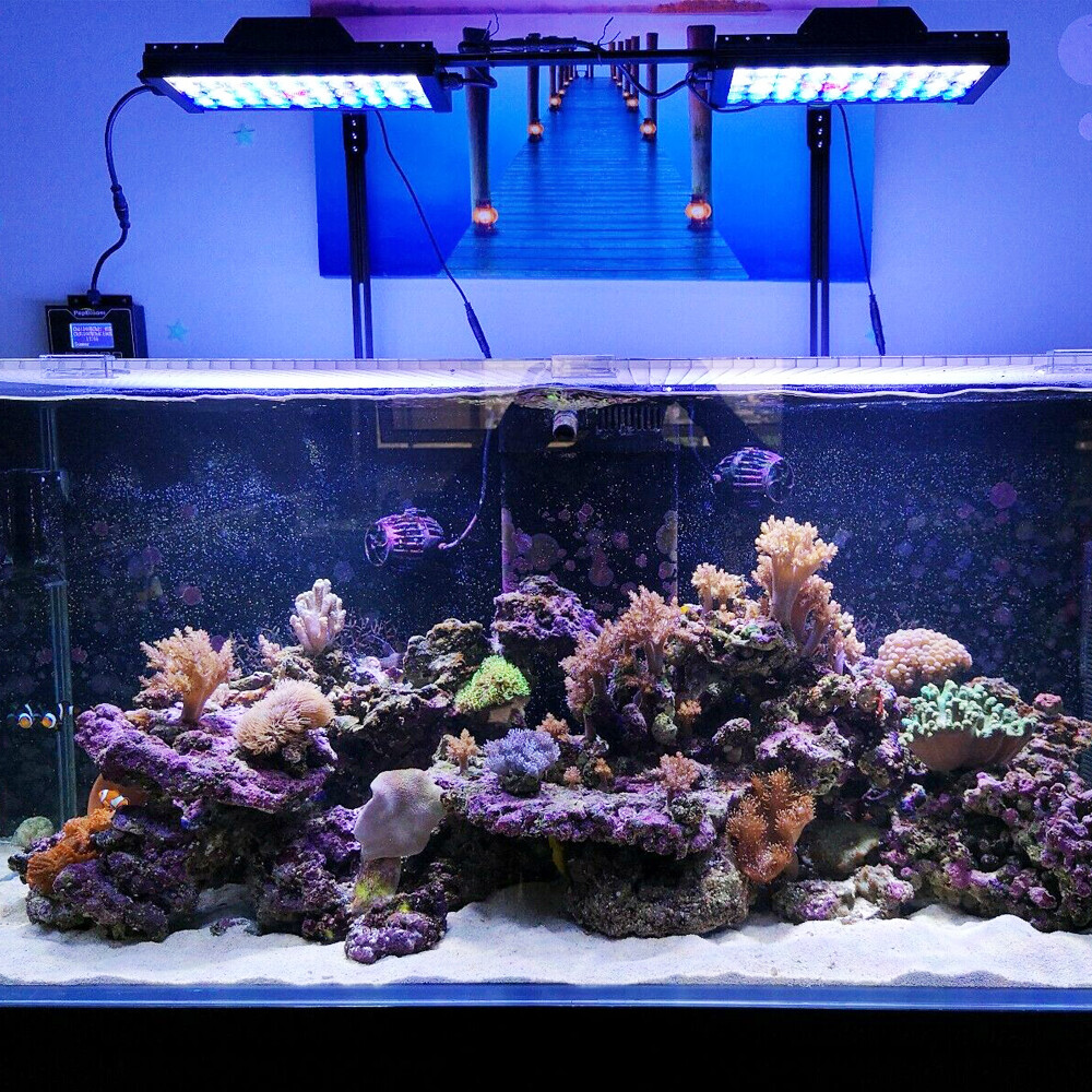 aquarium foam filter media