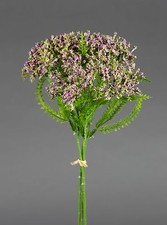 Wilde Möhre - Bund 25cm