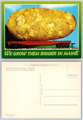 Giant Potato on Train Flatcar Postcard - We Grow Them Bigger in Maine