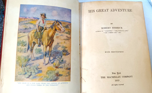 His Great Adventure by Robert Herrick, 1913 First Edition Macmillan - Bild 3 von 4