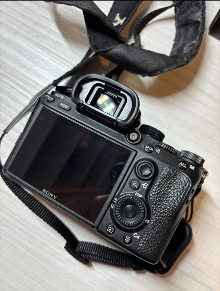 Sony Alpha 7 III, foto 3 de 5