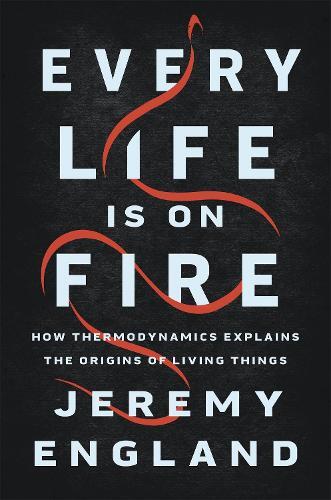 Thumbnail - Jeremy England Every Life Is On Fire (gebundene Ausgabe)
