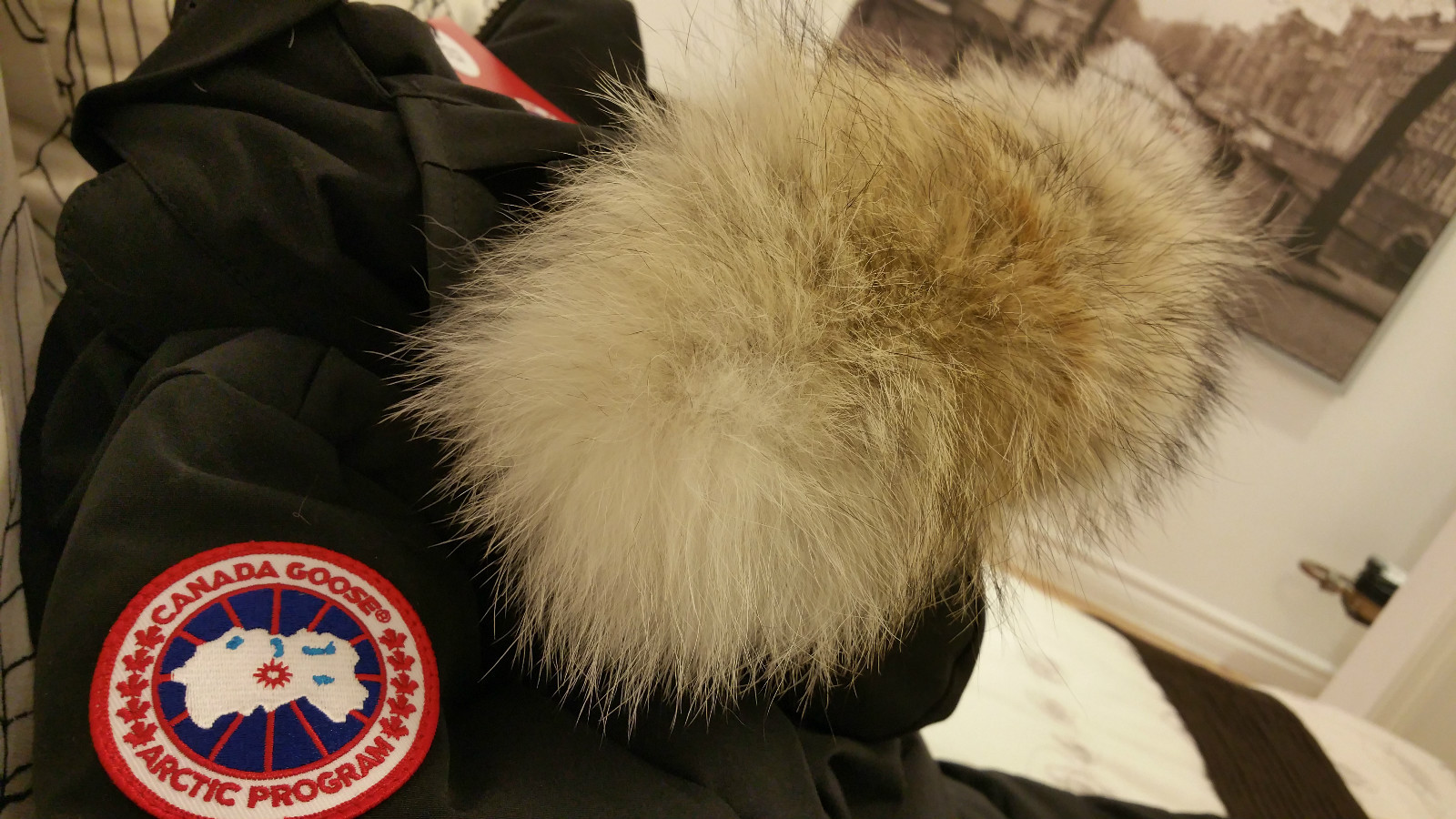 BRAND NEW "RED LABEL" EDITION BLACK CANADA GOOSE MYSTIQUE SM PARKA JACKET image 7