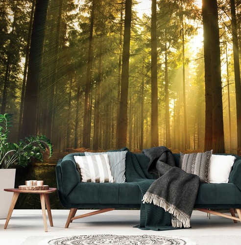 BOIS BROUILLARD ARBRES non tissé papier peint photo paysage moderne salon papier peint mural - Photo 17/59