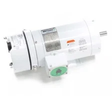 Leeson Electric 122193.00 Washdown Duty Brake Motor (Painted) - 1 hp, 1800 rpm