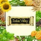 indus_valley_uk