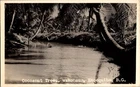 WW2 WWII American US Army Military Postcard Wakenaam Essequibe British Guiana