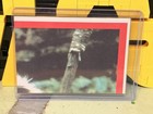 Vintage Star Wars Trading Card Stickers Star Wars and Return of the Jedi lot(x6) — photo 9