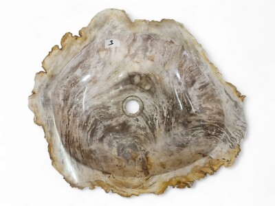Kinaree Oval Fossil Wood Stone Wall-Mount Wash Basin Indonesia
